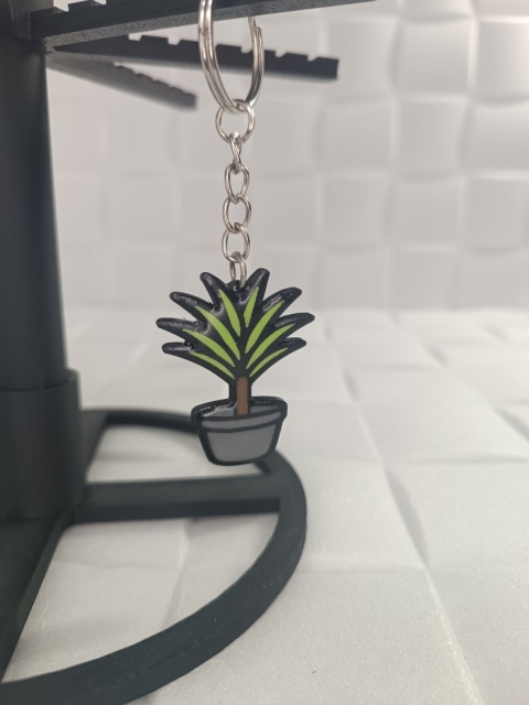 Breloczek Dracena Breloczek Dracena