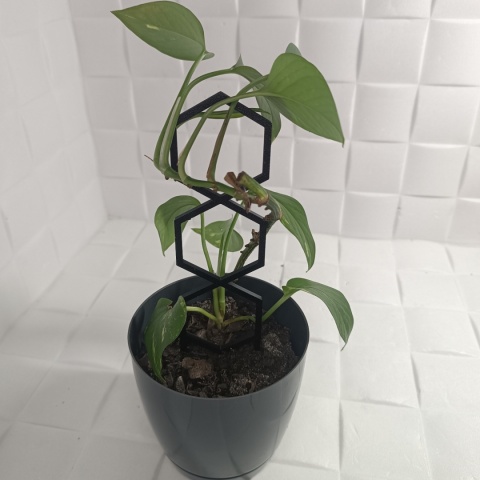 Podpórka Do Roślin Doniczkowych Plaster Miodu Pergola Drabinka 21cm