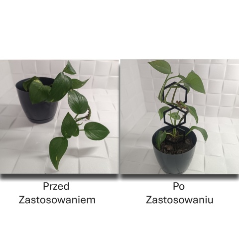 Podpórka Do Roślin Doniczkowych Plaster Miodu Pergola Drabinka 21cm