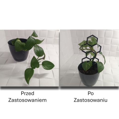 Podpórka Do Roślin Doniczkowych Plaster Miodu Pergola Drabinka 22cm