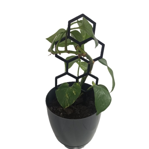 Podpórka Do Roślin Doniczkowych Plaster Miodu Pergola Drabinka 22cm