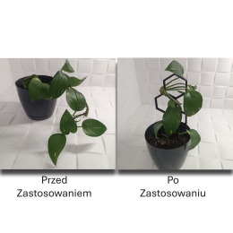 Podpórka Do Roślin Doniczkowych Plaster Miodu Pergola Drabinka 21cm