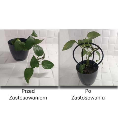 Podpórka do roślin Doniczkowych Okręgi Pergola Drabinka 19,5cm