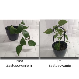 Podpórka do roślin Doniczkowych Okręgi Pergola Drabinka 21cm