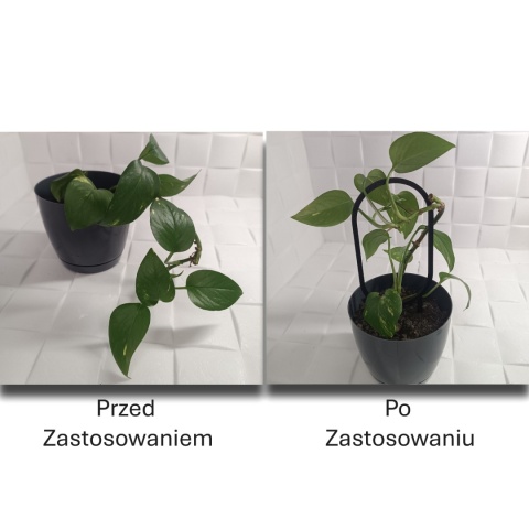 Podpórka do roślin Doniczkowych Okręgi Pergola Drabinka 21cm