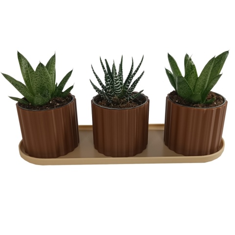 Zestaw 3 Doniczek Osłonek Kwietnik Potrójna Z Podstawką Brązowy Beżowy