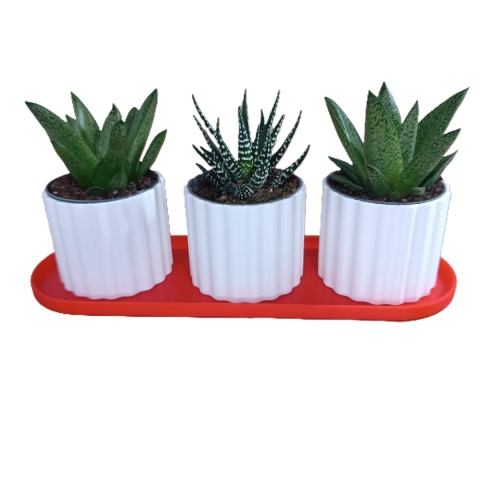 Zestaw 3 Doniczek Osłonek Kwietnik Potrójna Z Podstawką Czerwony Biały